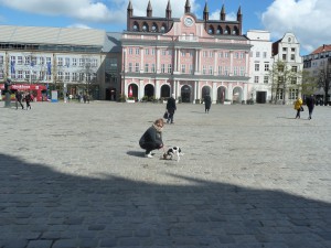 Kamera Lübeck bis Warnemünde April 2016 029