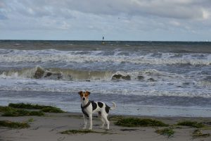 travemuende-nachtrag-029